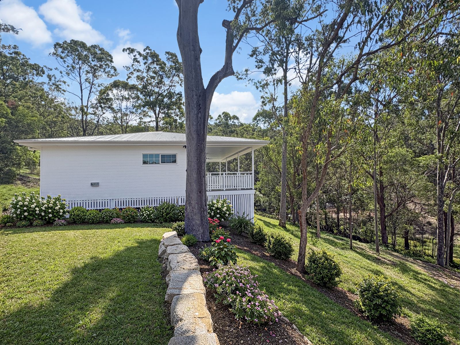 Ferny Ridge Hillside Retreat, Bonogin